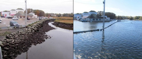 Today's "King Tides" Preview the Future of Sea Level Rise - Union of Concerned Scientists