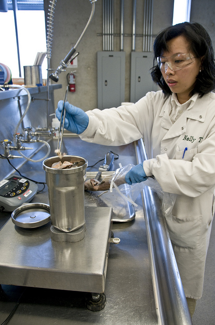 An FDA microbiologist tests seafood for microorganisms.