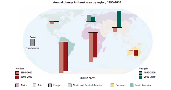 Annual Forest Change from 1990-2010