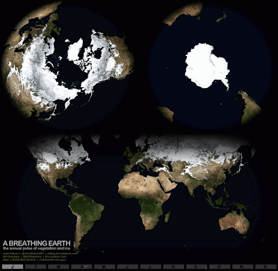 NASA satellite images show the changing extent of snow and vegetation for the globe over the course of the year. The greatest seasonal changes occur in the northern hemisphere. To persist, alpine glaciers and ice sheets need snow to accumulate from year to year. Top left is the view looking down on the North Pole, top right is the South Pole. Source: IDV Solutions