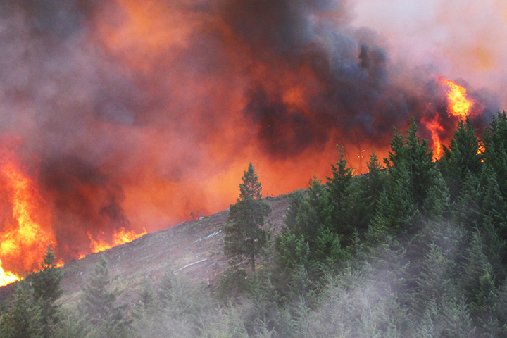 Douglas Complex fires on July 26, 2013. Photo: Marvin Vetter, Oregon Department of Forestry