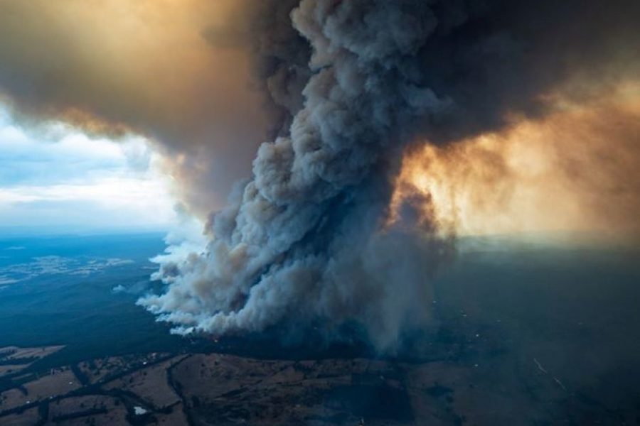 Bushfire-Ravaged Australia Is Crying for Climate Action - Union of  Concerned Scientists