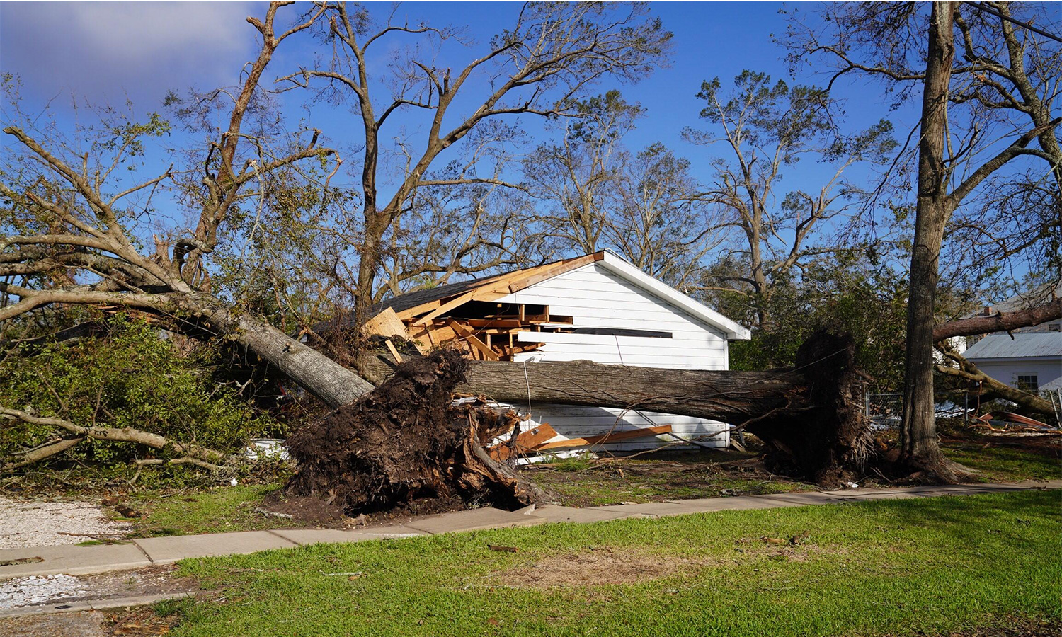 Did EPA’s Non-Enforcement Policy Cause Lake Charles Chemical Plant Fire ...