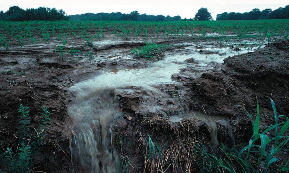 Crop field with runoff