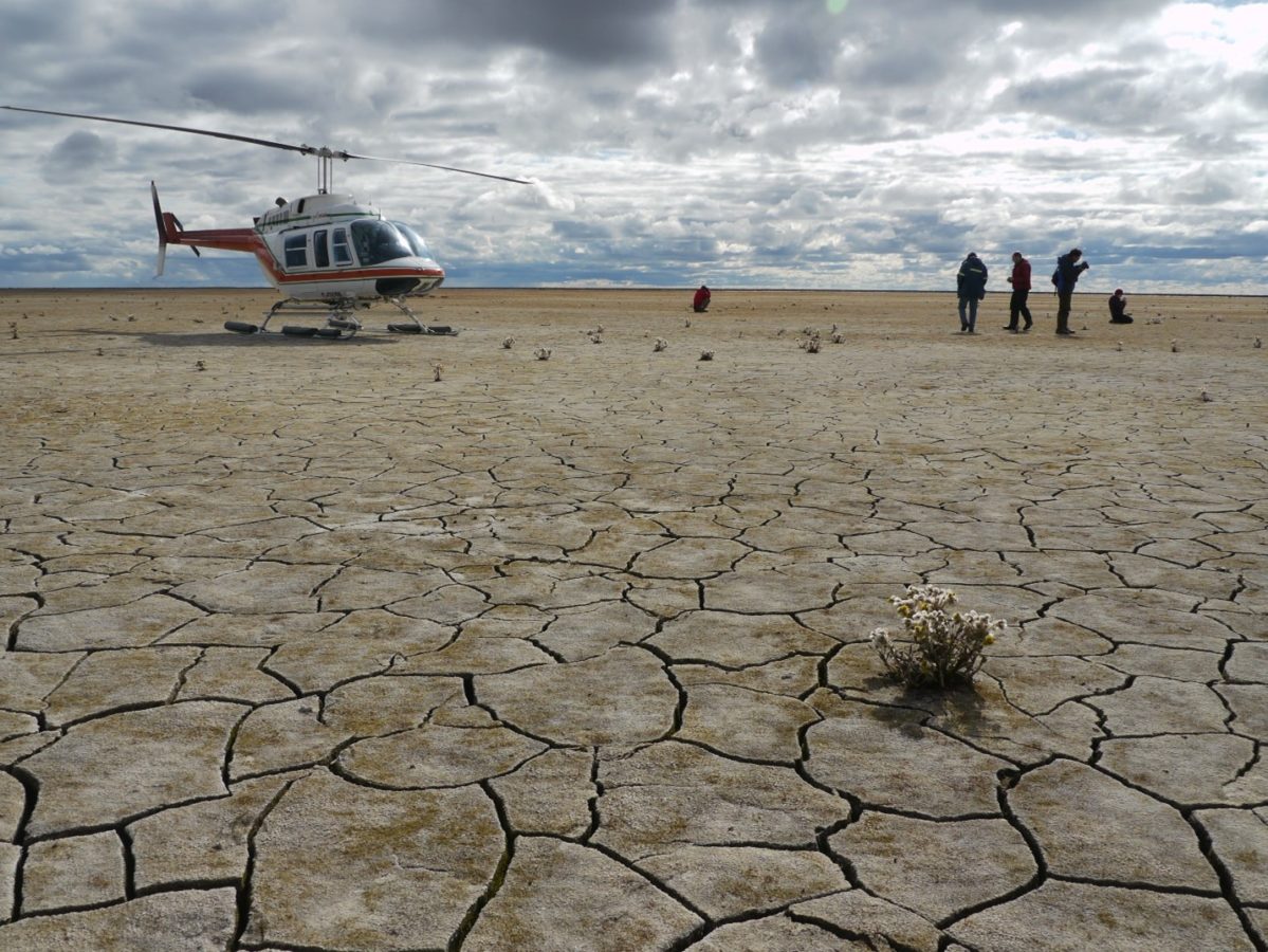 A photograph of a helicopter and crew, landed on a dried-up Arctic lake on Baffin Island, Canada. The former lake bed is cracked and barren.
