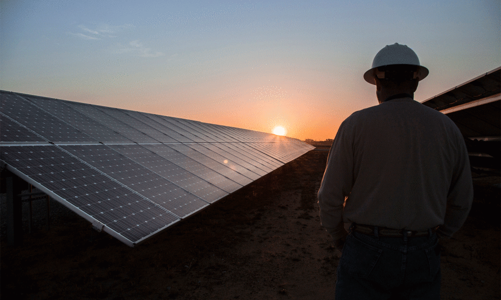 Shows worker at solar farm.