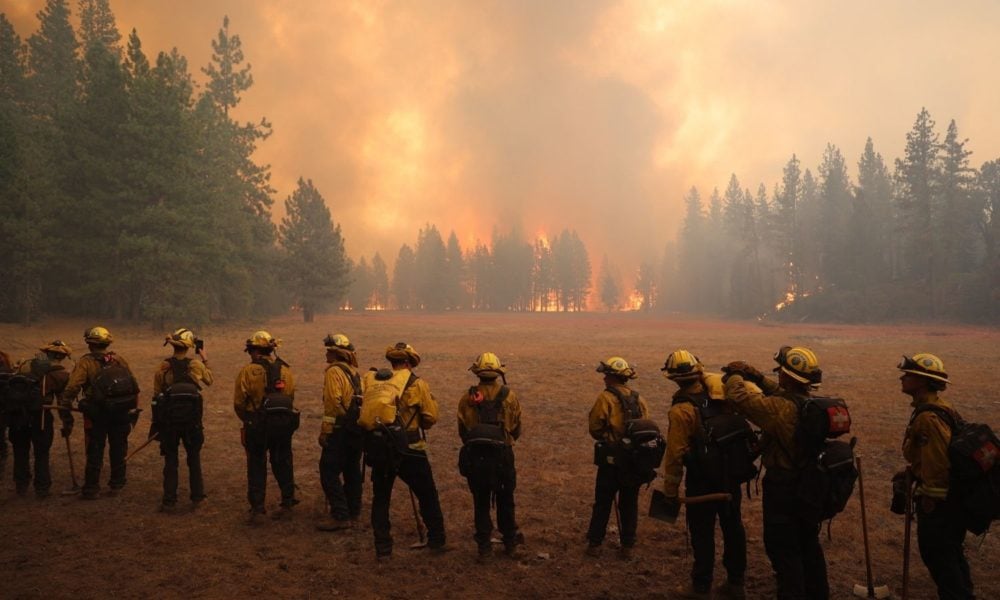 at least 10 firefighters standing in a long line in front of a burning landscape, the Dixie fire in California