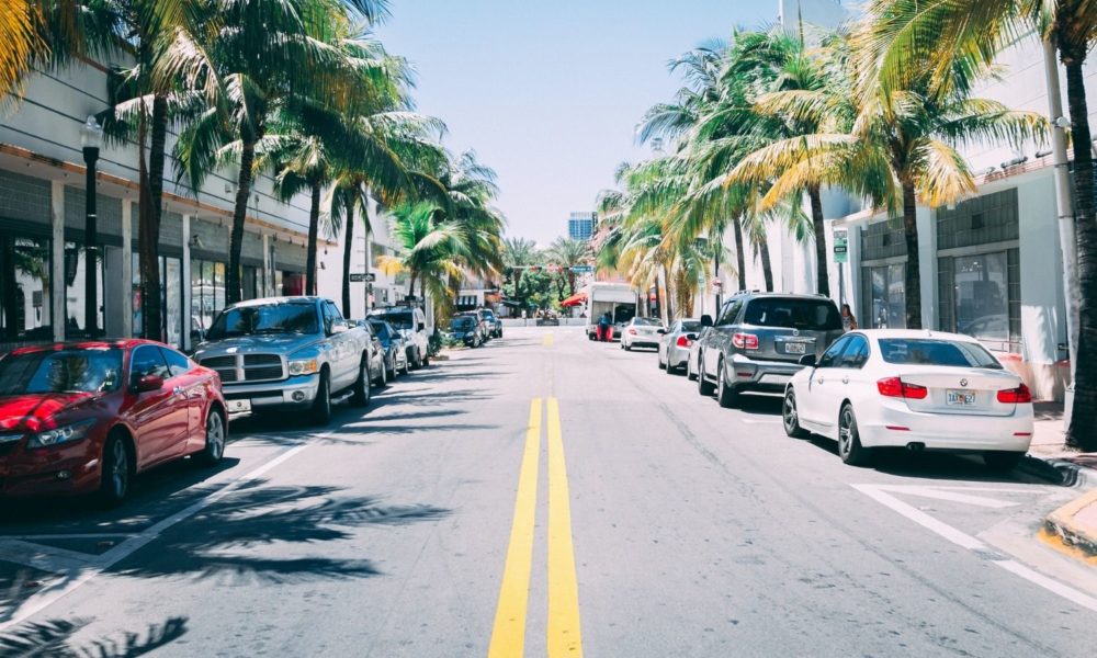 Looking down a street in South Beach in the brilliant sun. Palm fronds look a little parched.