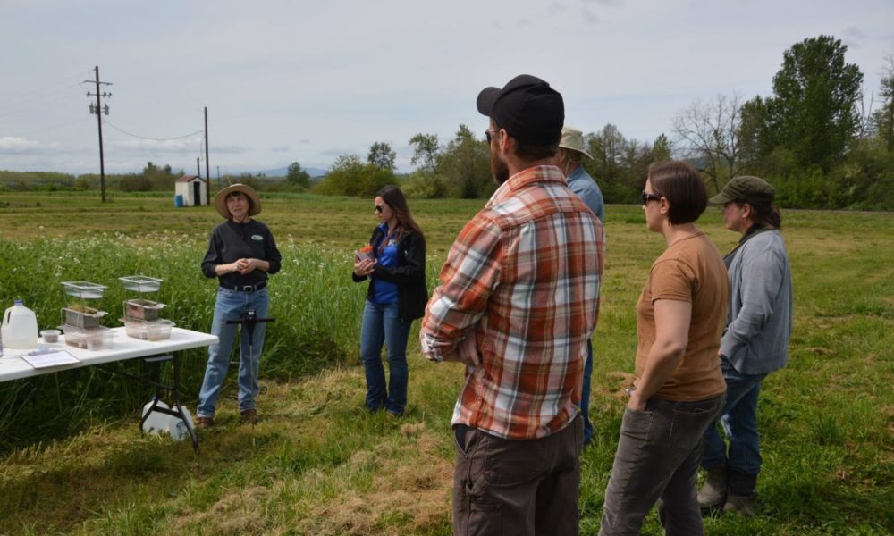 A small group of lay people standing in a field observe as a representative from the USDA Natural Resources Conservation Service discusses the benefits of using cover crops