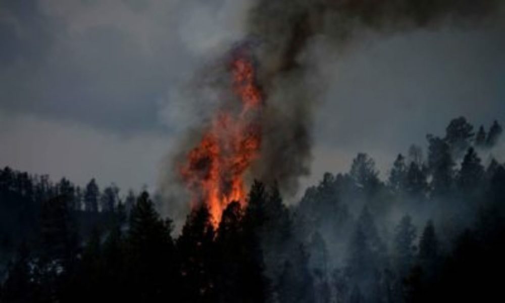 Flames tower above the trees in Colorado’s 2012 Waldo Canyon Fire, the third most destructive fires in state history