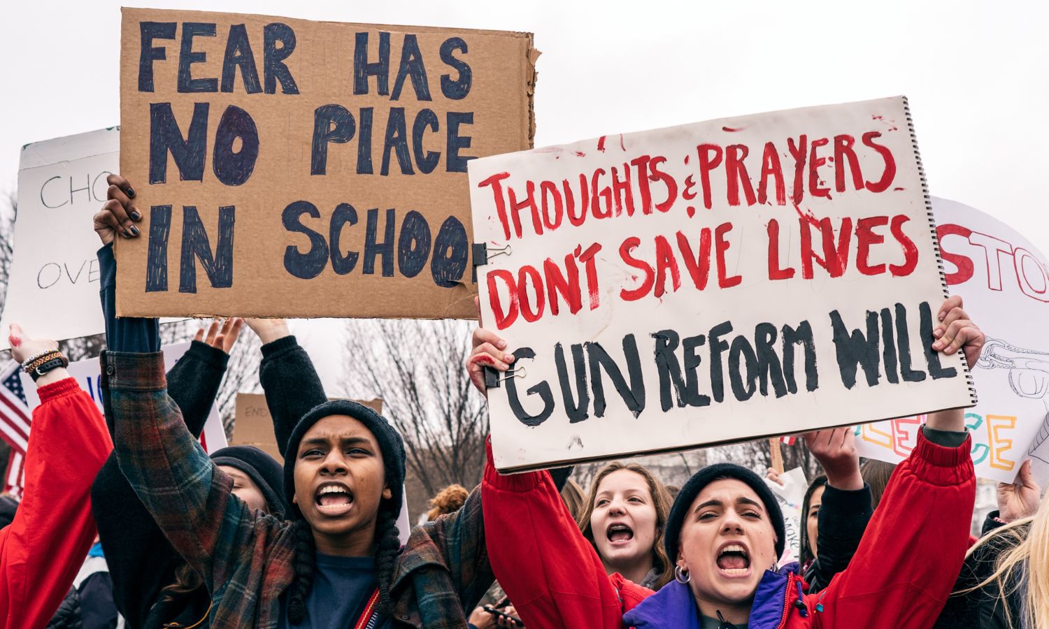 Now Mobilizing Against Gun Violence: Scientists and Public Health