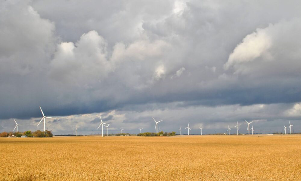 Under a cloudy sky in Alpha, Minnesota, wind turbines are set against a field