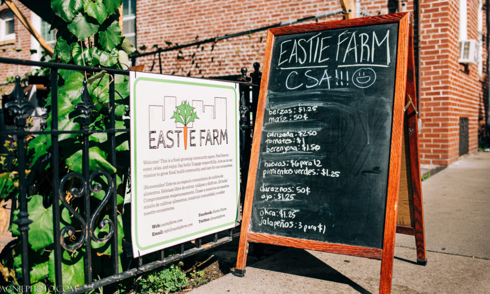 photo of two signs in front of the entrance to Eastie Farm in East Boston, MA. One hanging on a fence explains its mission; the other on a chalkboard lists what is available this day for people participating in its CSA program.