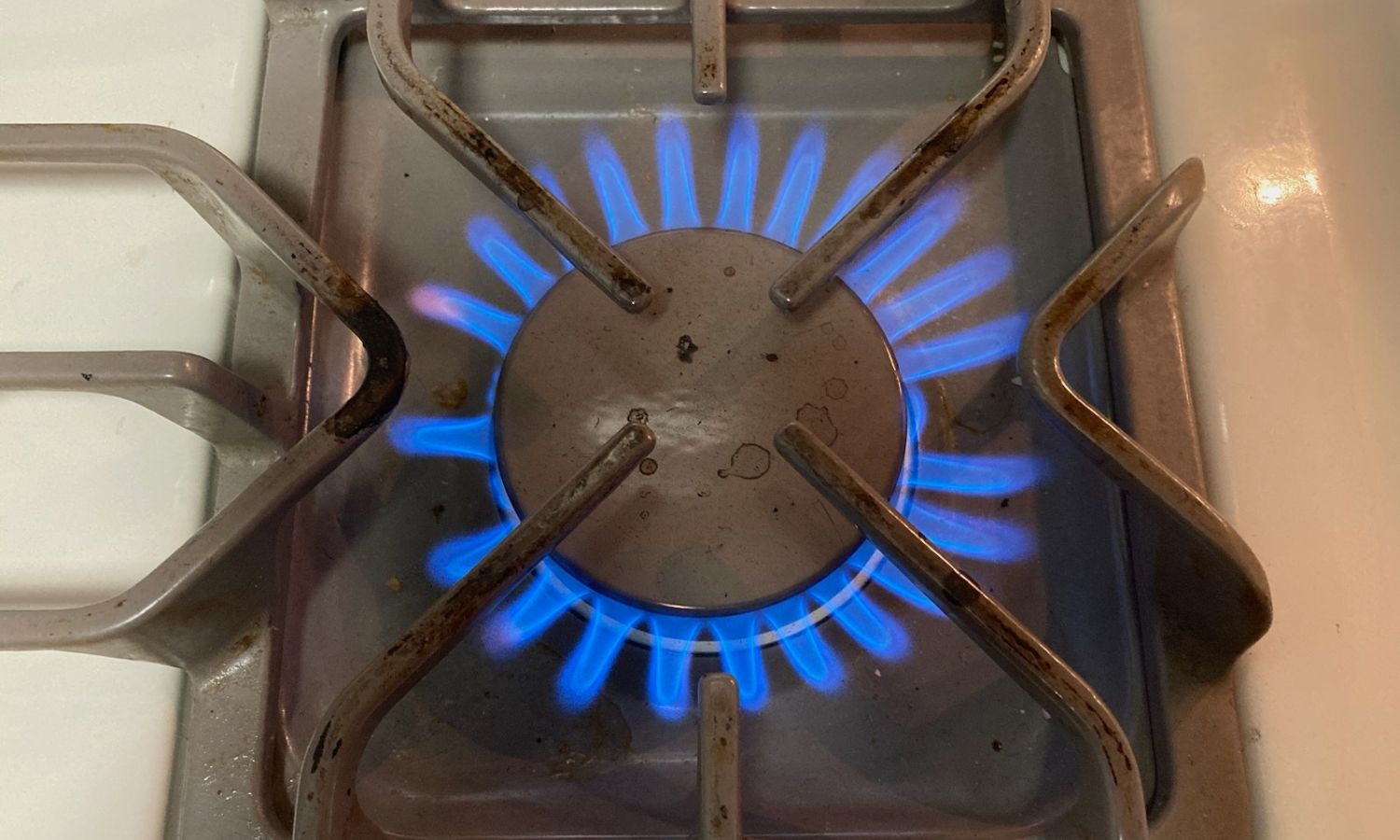 Gas Stoves May Soon Be Banned To Protect the Children