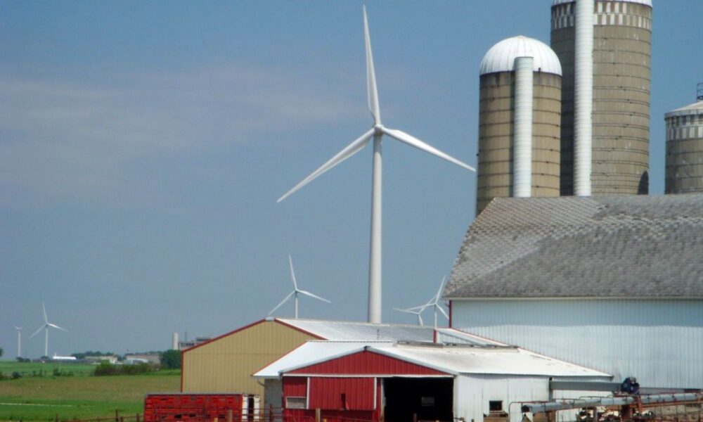 Wind turbine with farm