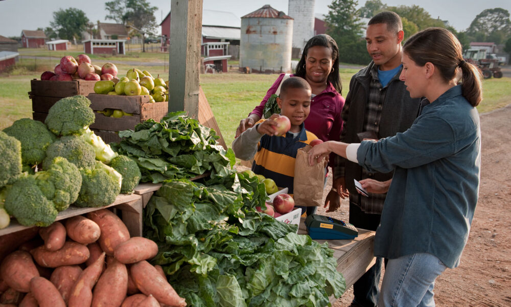 photo of a Black family buying fruit from a White female farmer at a stand with many colorful fruits and vegetables on display in the foreground; farm buildings are in the background