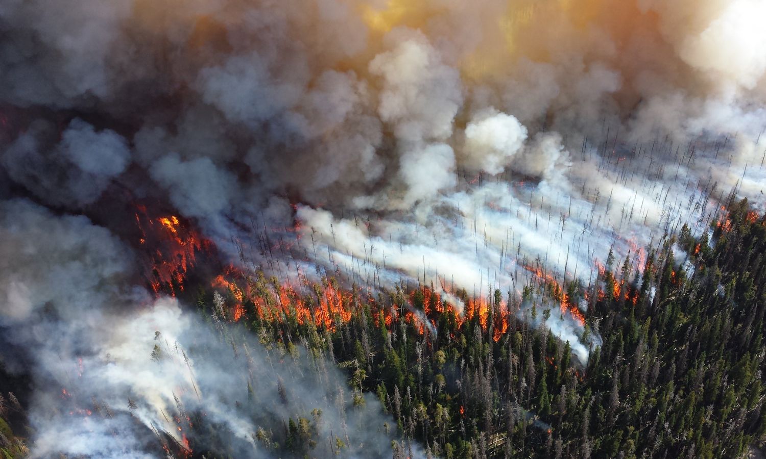 The Best Wildfire Preparedness Supplies and Strategies of 2023