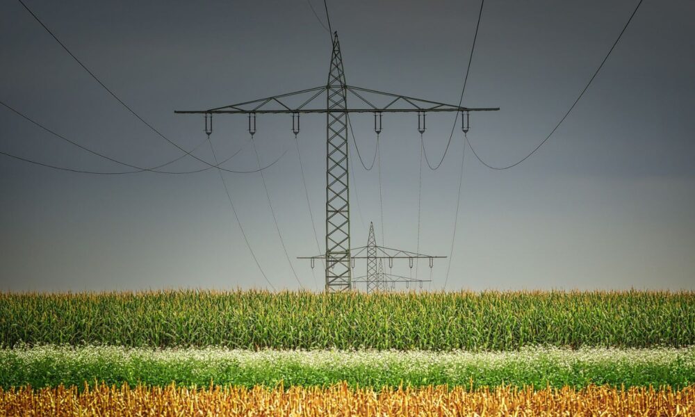 A massive power line transmissions structure looms against a green and yellow field of grain