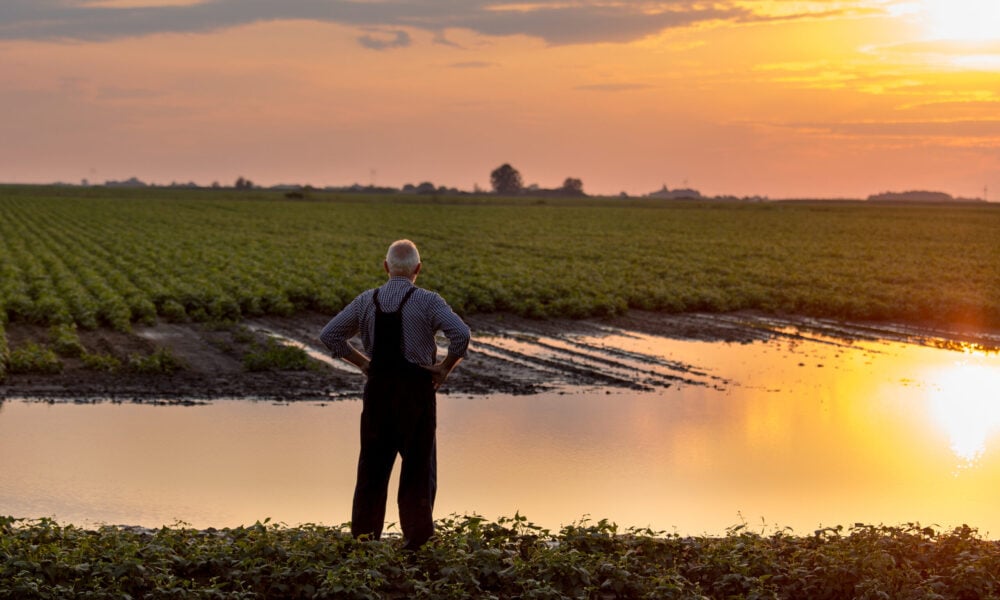 photo of a farmer looking out over a flooded field; the sun is setting in the background and the light is reflecting off the floodwaters