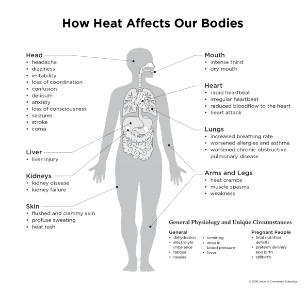 Danger Season and Deadly Heat Mean National Parks Are No Longer a ...