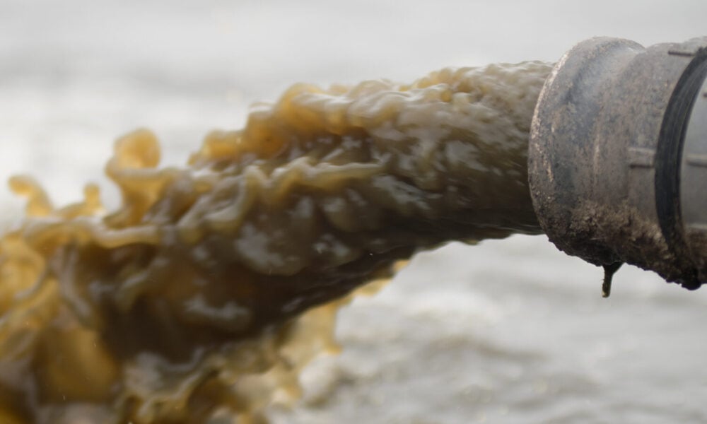 close-up photo of a heavy stream of greenish brown wastewater pouring out of a pipe on a swine and poultry farm