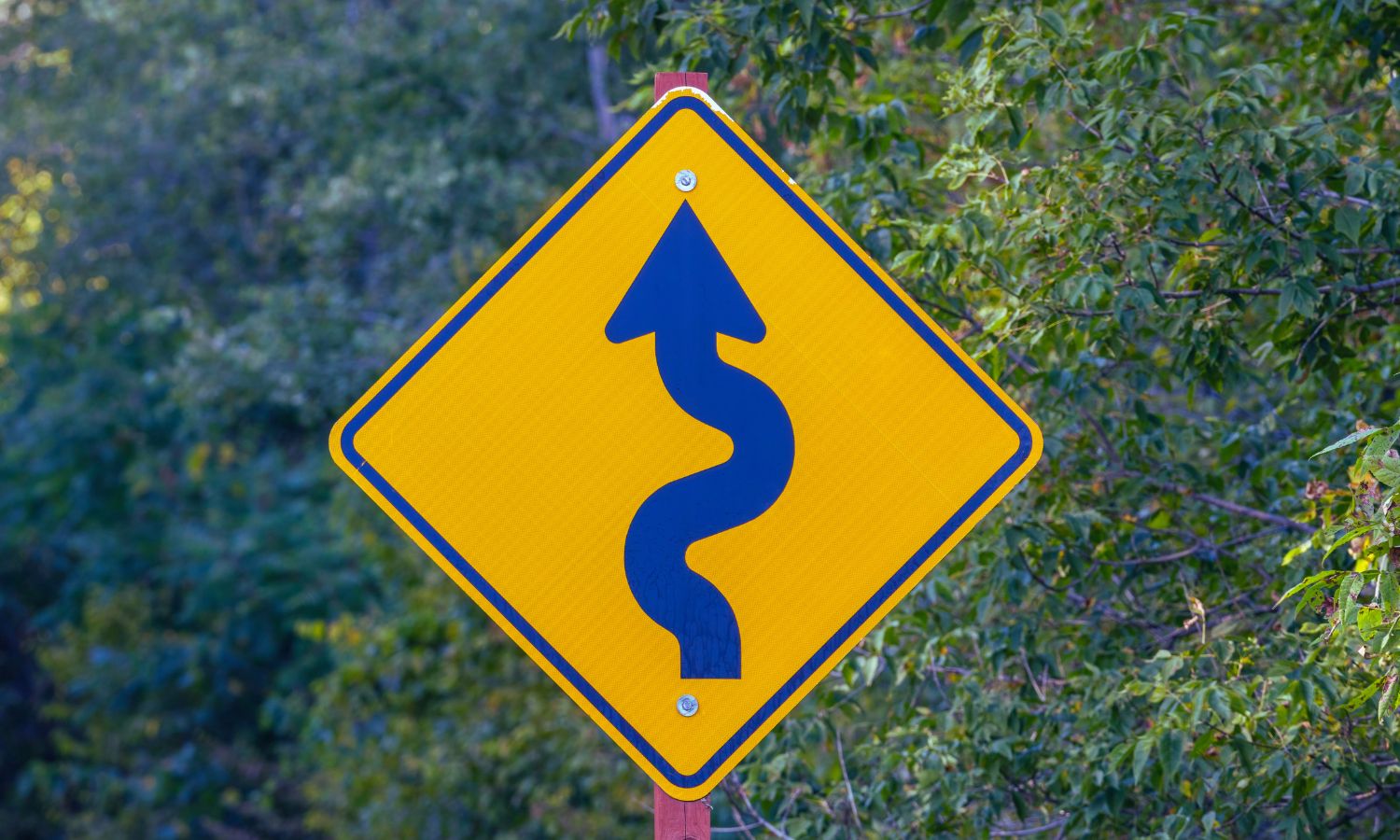 twisty road sign