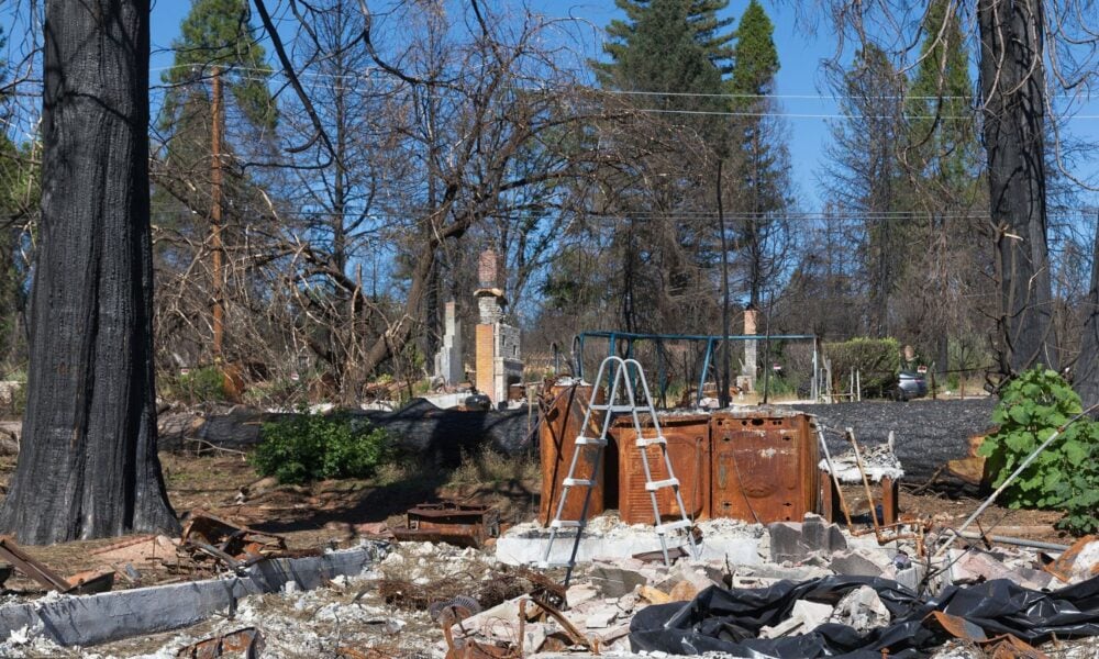 Remnants of burned houses in a neighborhood in Paradise, California, 8 months after the 2019 Camp Fire.