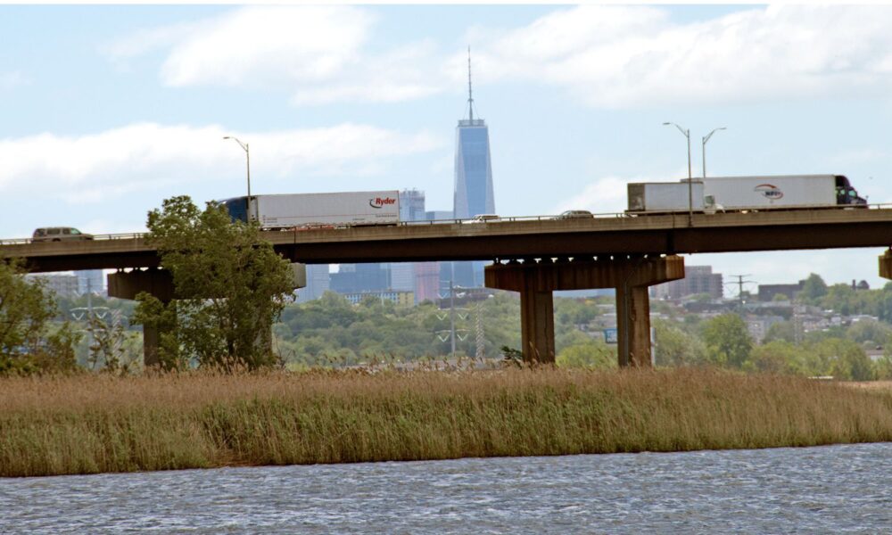 The Hackensack Meadowlands in New Jersey, from which New York City skyscrapers are visible.