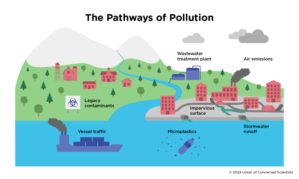 a graphic displaying multiple forms of pollution